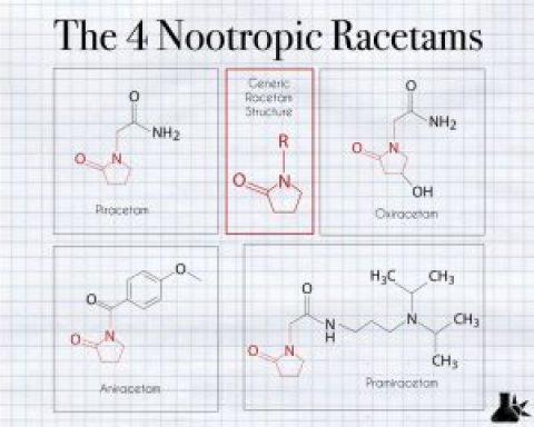 Piracetam vs Aniracetam vs Oxiracetam: Guide to the Racetam Family