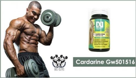 Cardarine: Stupid-Simple Guide To GW-501516 – Shocking Info Inside!
